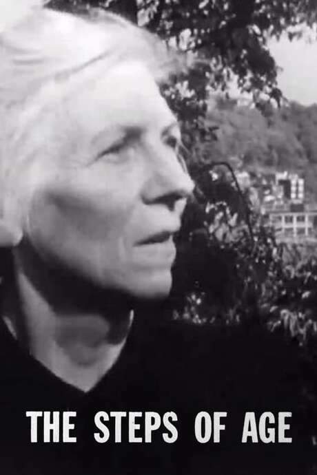 Mrs. Potter faces aging’s hardships. After her husband’s forced retirement leaves him listless and he later dies, she moves in with her daughter’s family, creating tension. She seeks work but is turned away for her age and clashes with her daughter over child‑rearing. Ultimately they learn to respect and appreciate each other, finding engaged life.